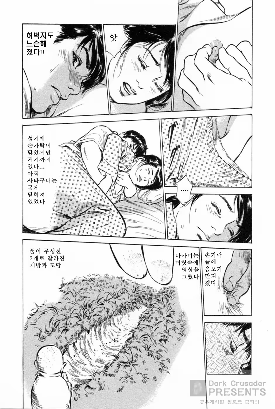 Content 346443 - 25 페이지