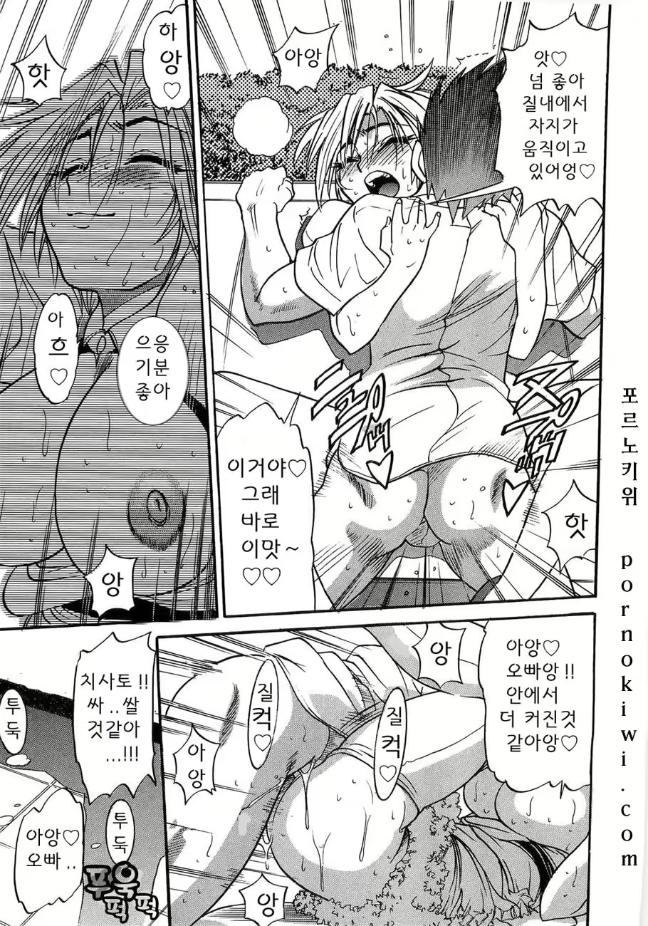 Content 364376 - 69 페이지