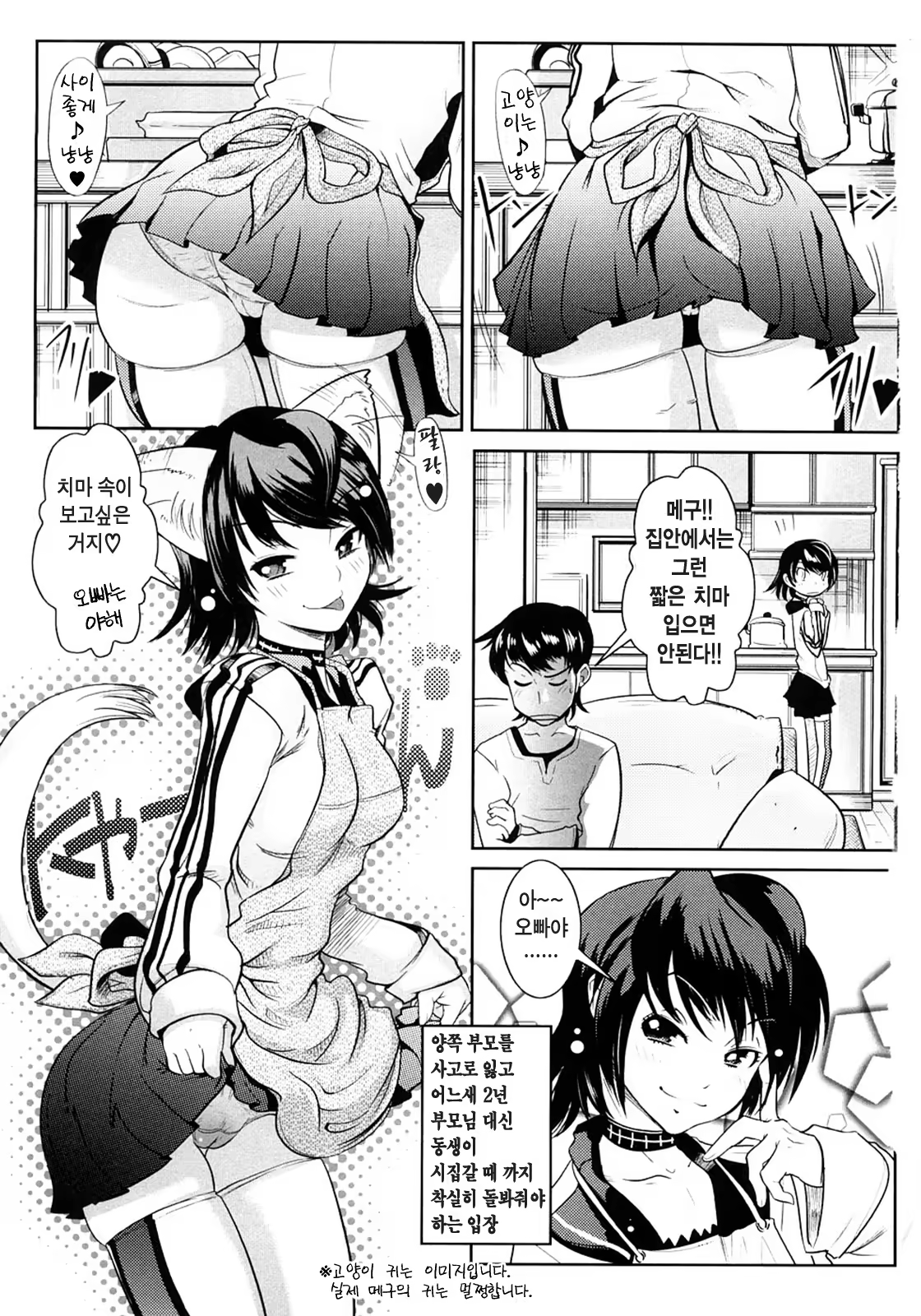 Content 364892 - 3 페이지