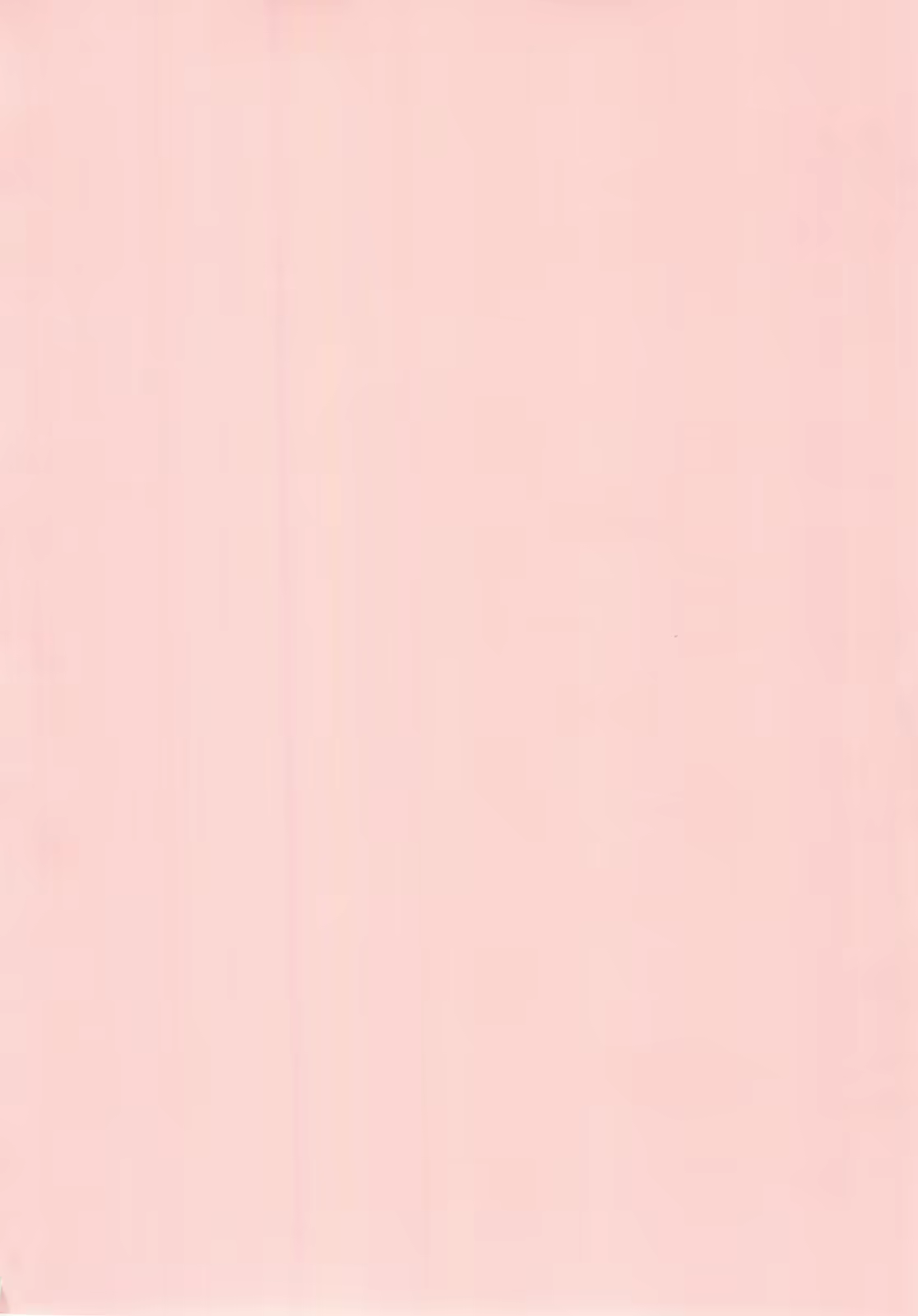Content 368145 - 4 페이지