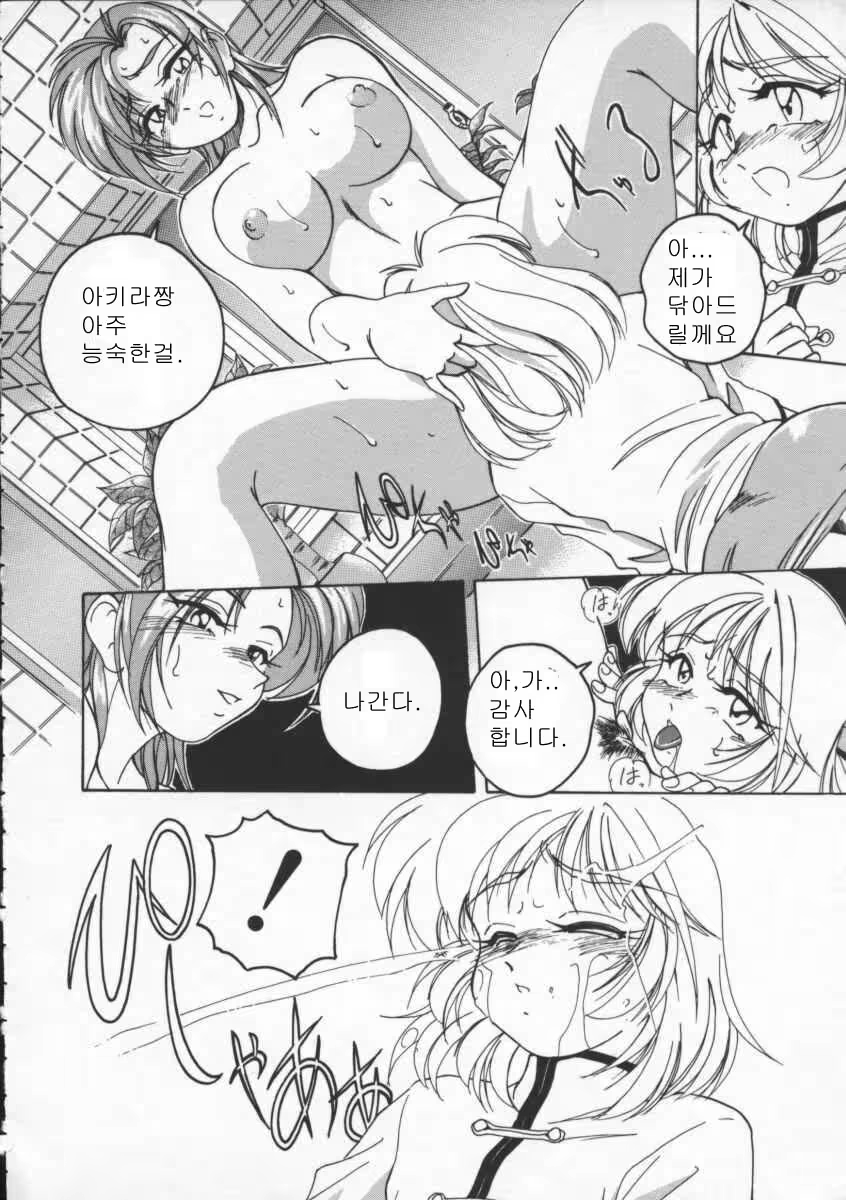 Content 375061 - 12 페이지