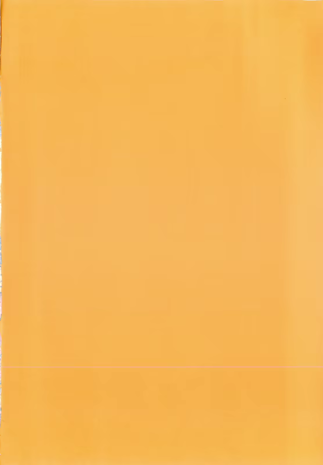 Content 378713 - 6 페이지