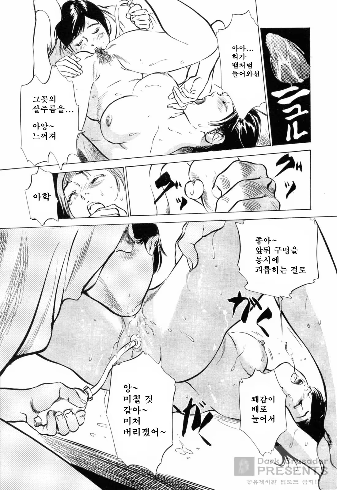 Content 380209 - 78 페이지