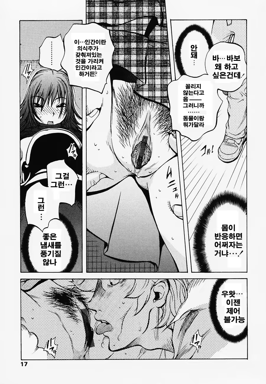 Content 382629 - 20 페이지