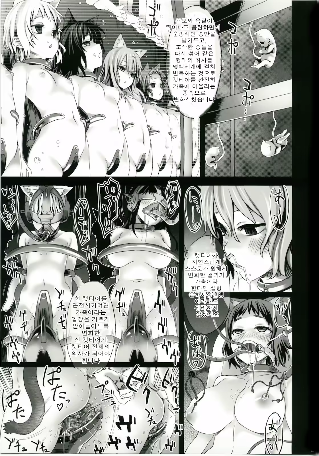 Content 382896 - 25 페이지
