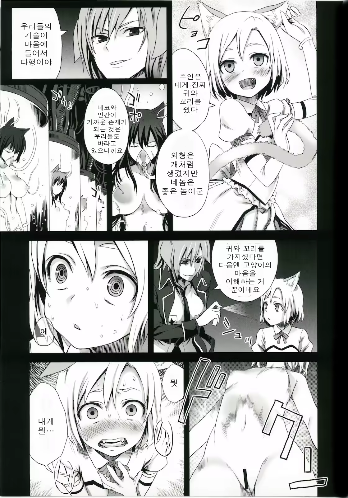Content 382896 - 5 페이지