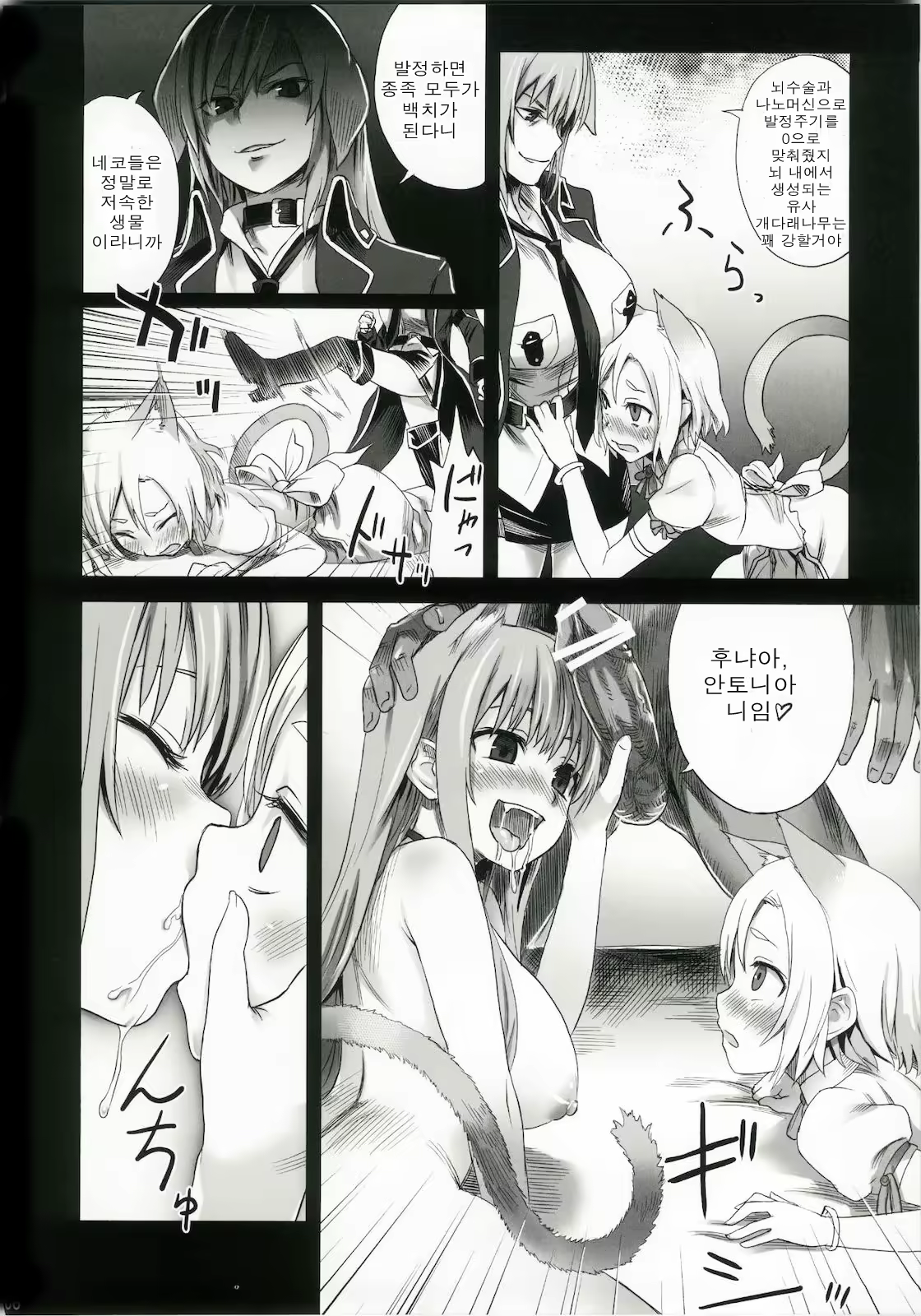 Content 382896 - 6 페이지