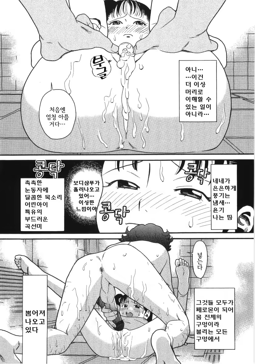 Content 383206 - 36 페이지