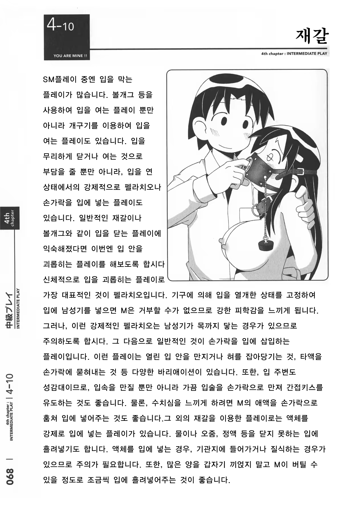 Content 386511 - 68 페이지