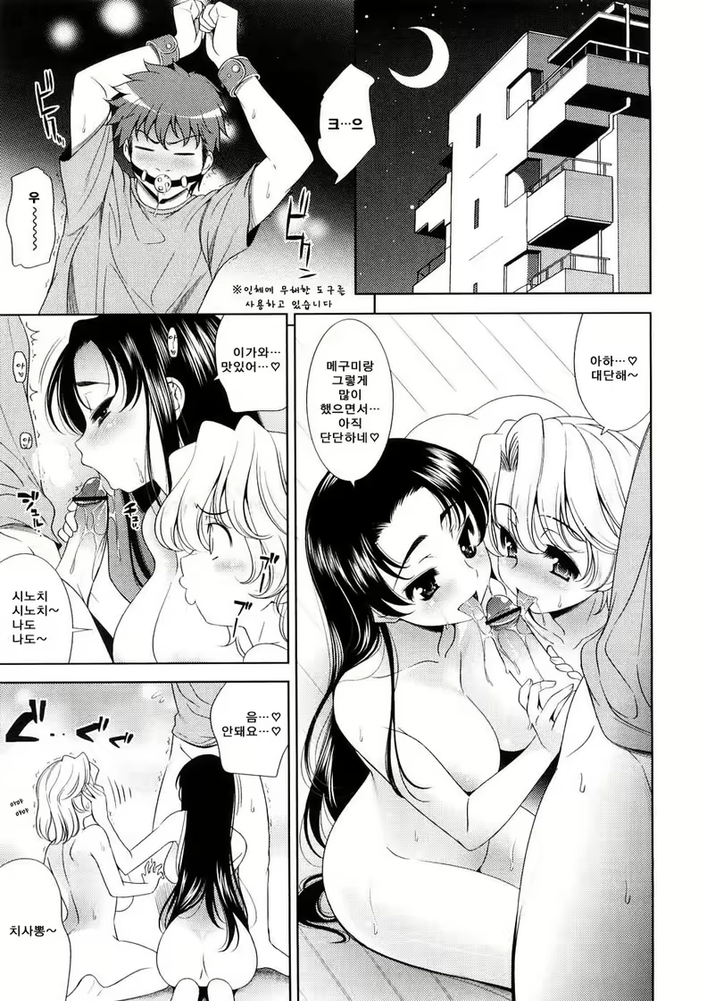 Content 412237 - 181 페이지