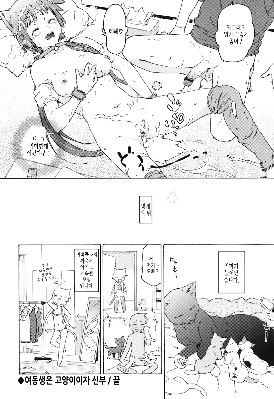 Content 429735 - 128 페이지