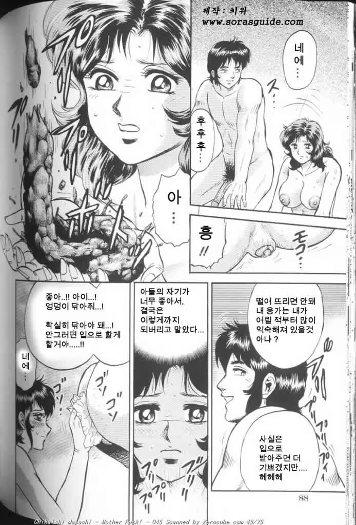 Content 440887 - 90 페이지