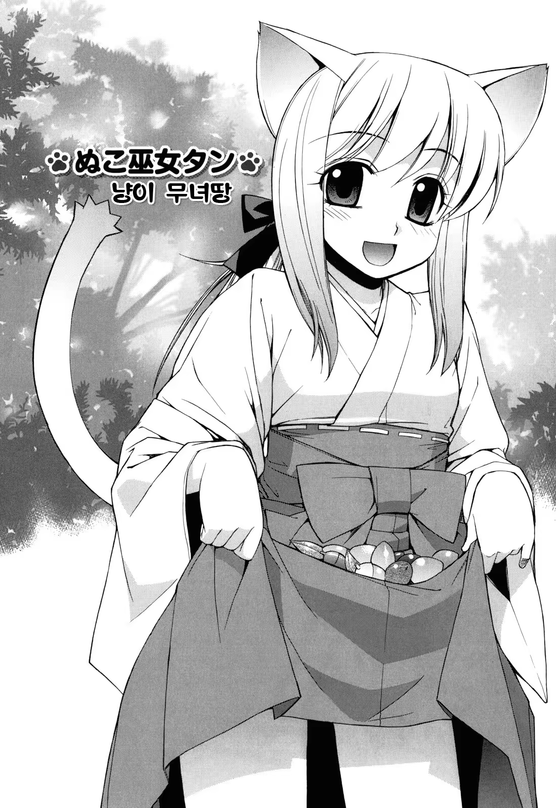 Content 442203 - 12 페이지
