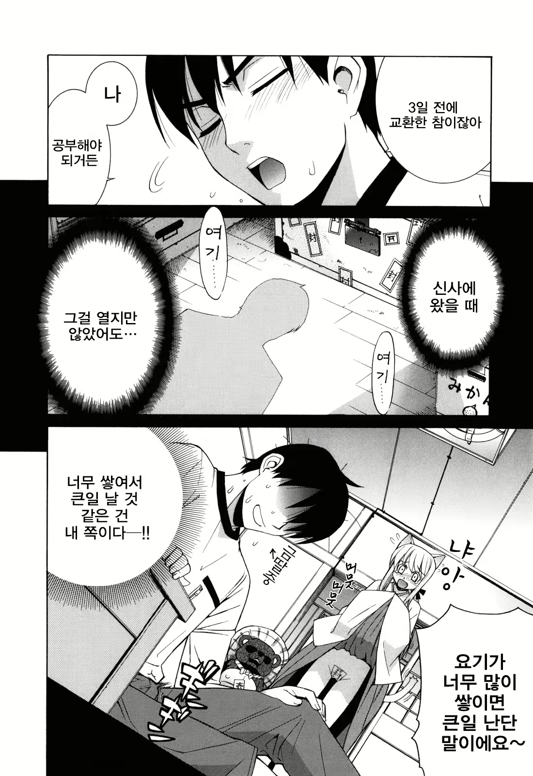 Content 442203 - 14 페이지