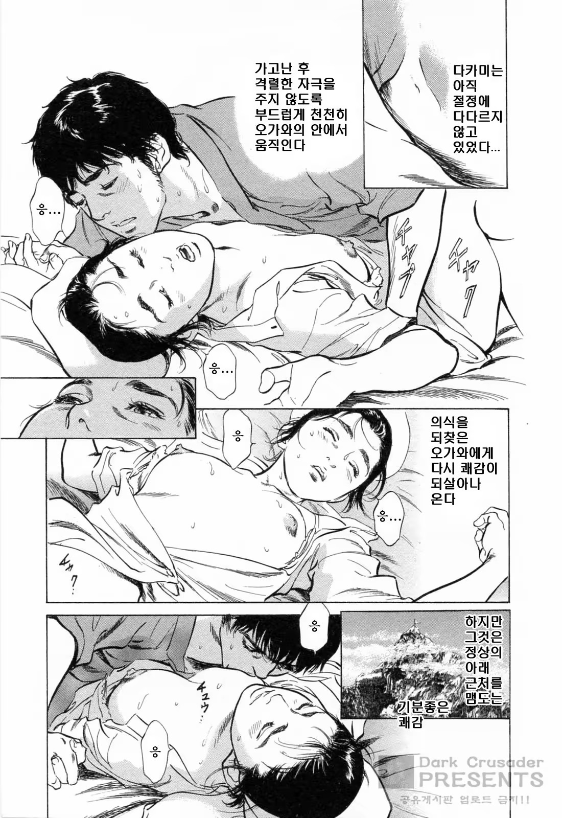 Content 452154 - 176 페이지