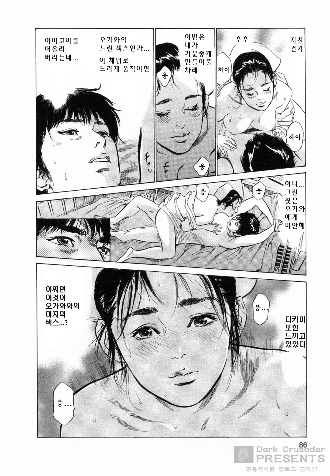 Content 452156 - 272 페이지