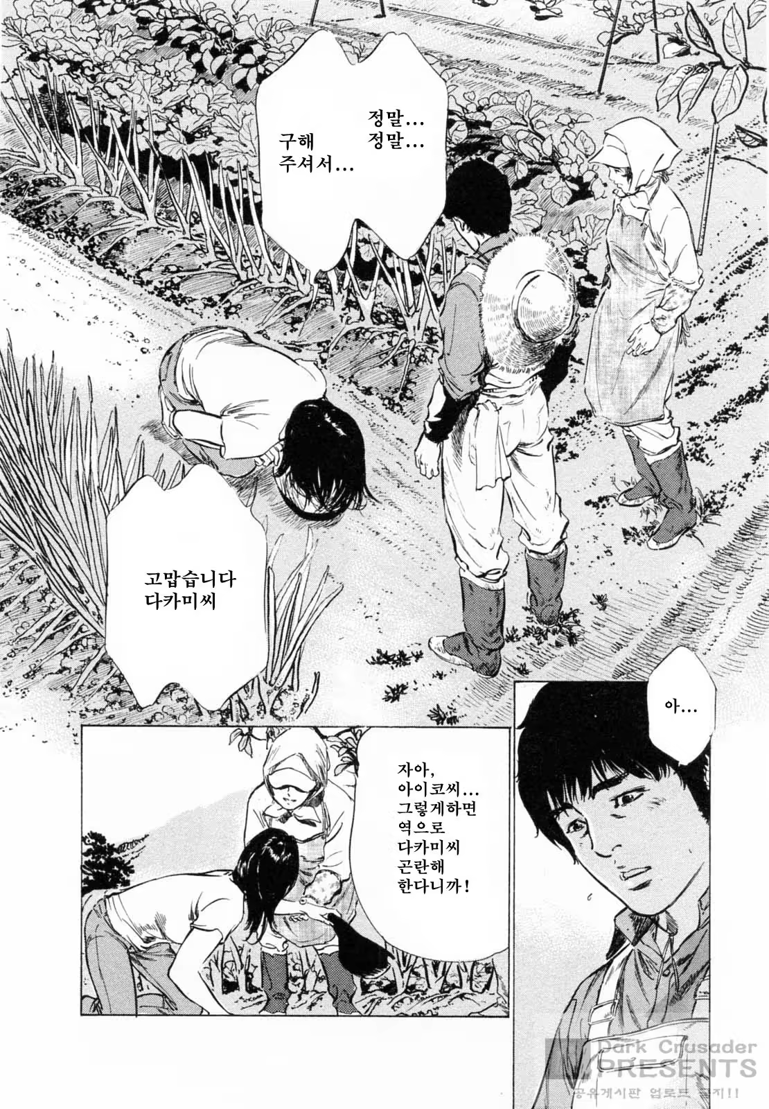 Content 452156 - 358 페이지