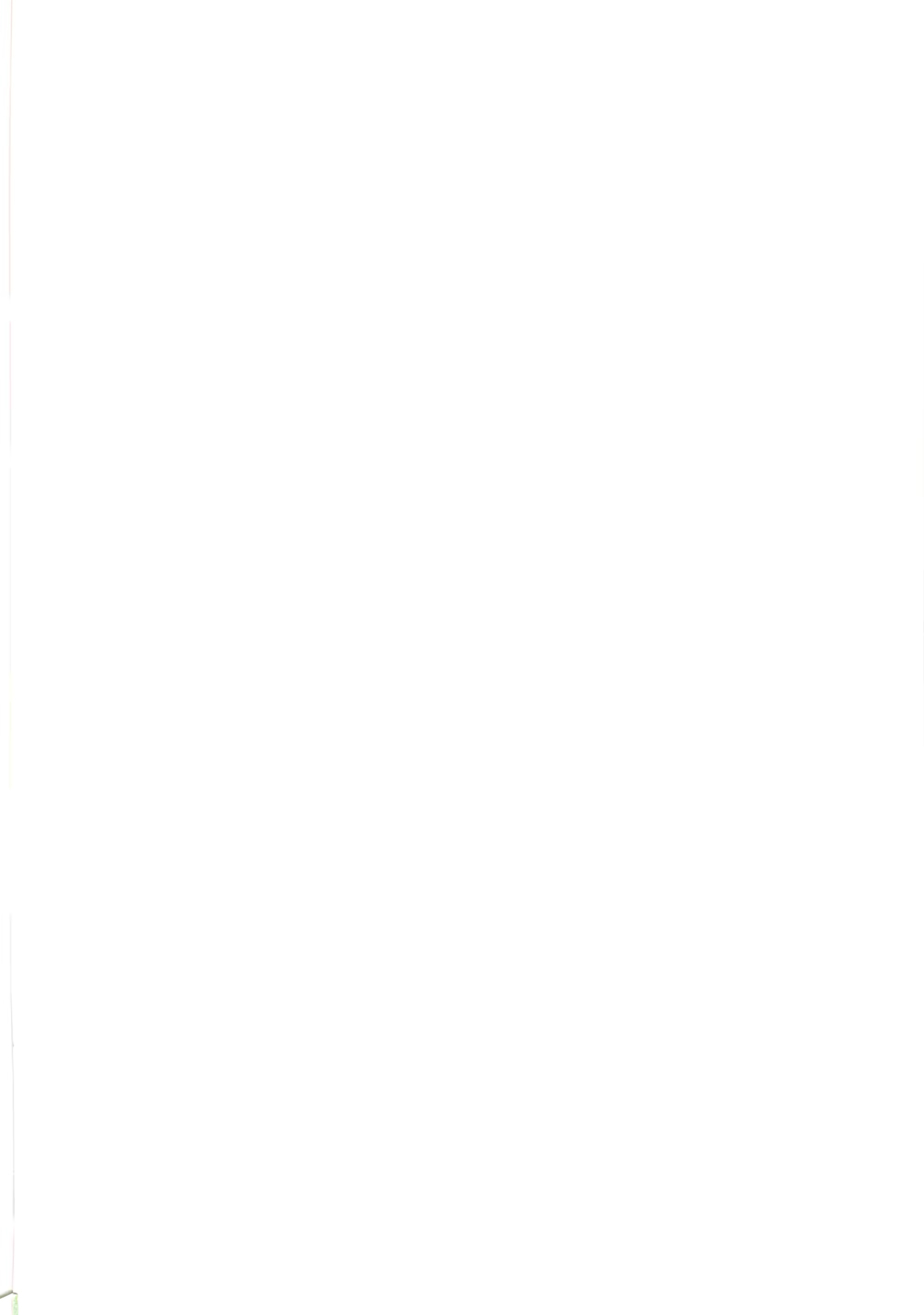 Content 460213 - 2 페이지