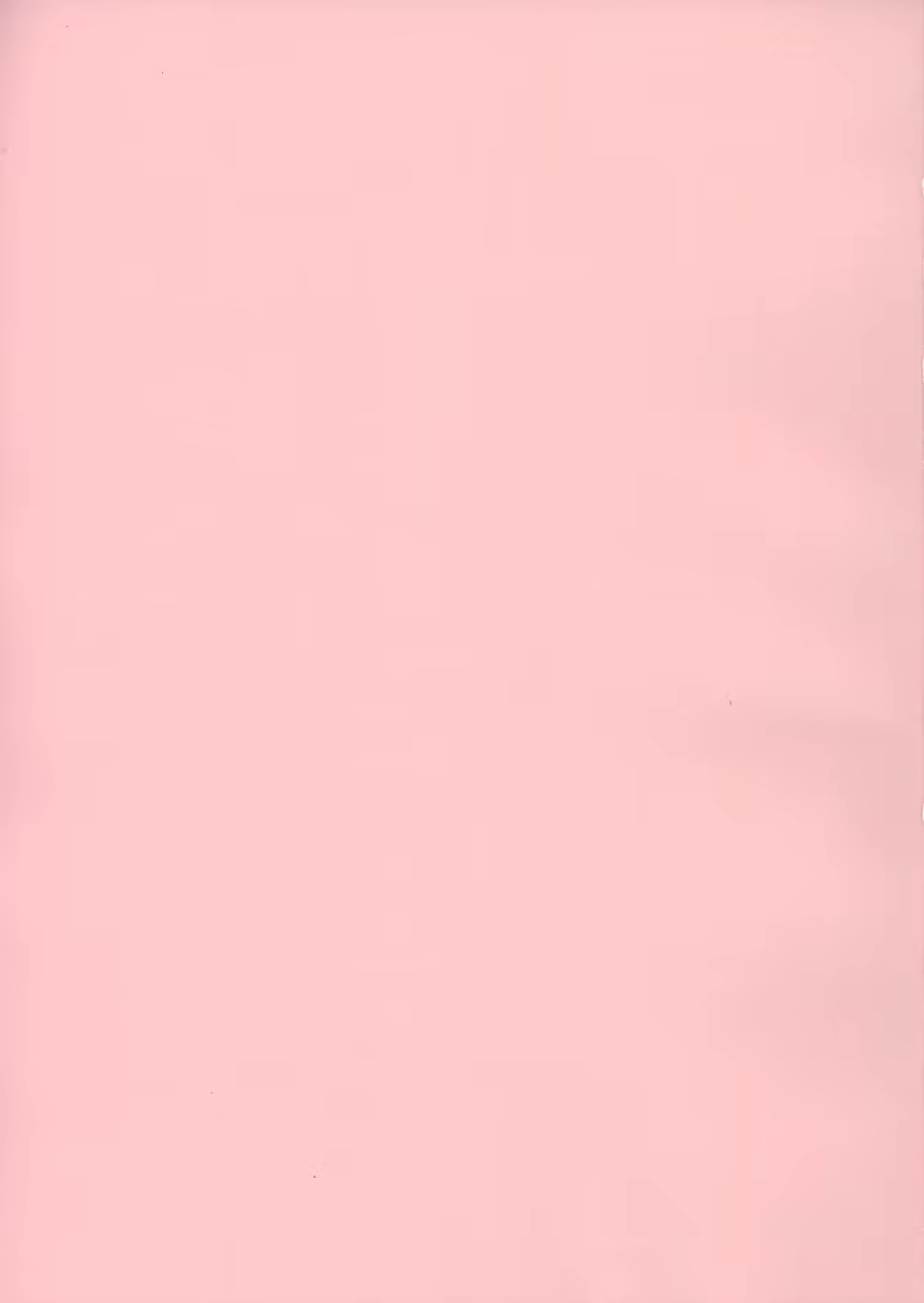 Content 461699 - 5 페이지