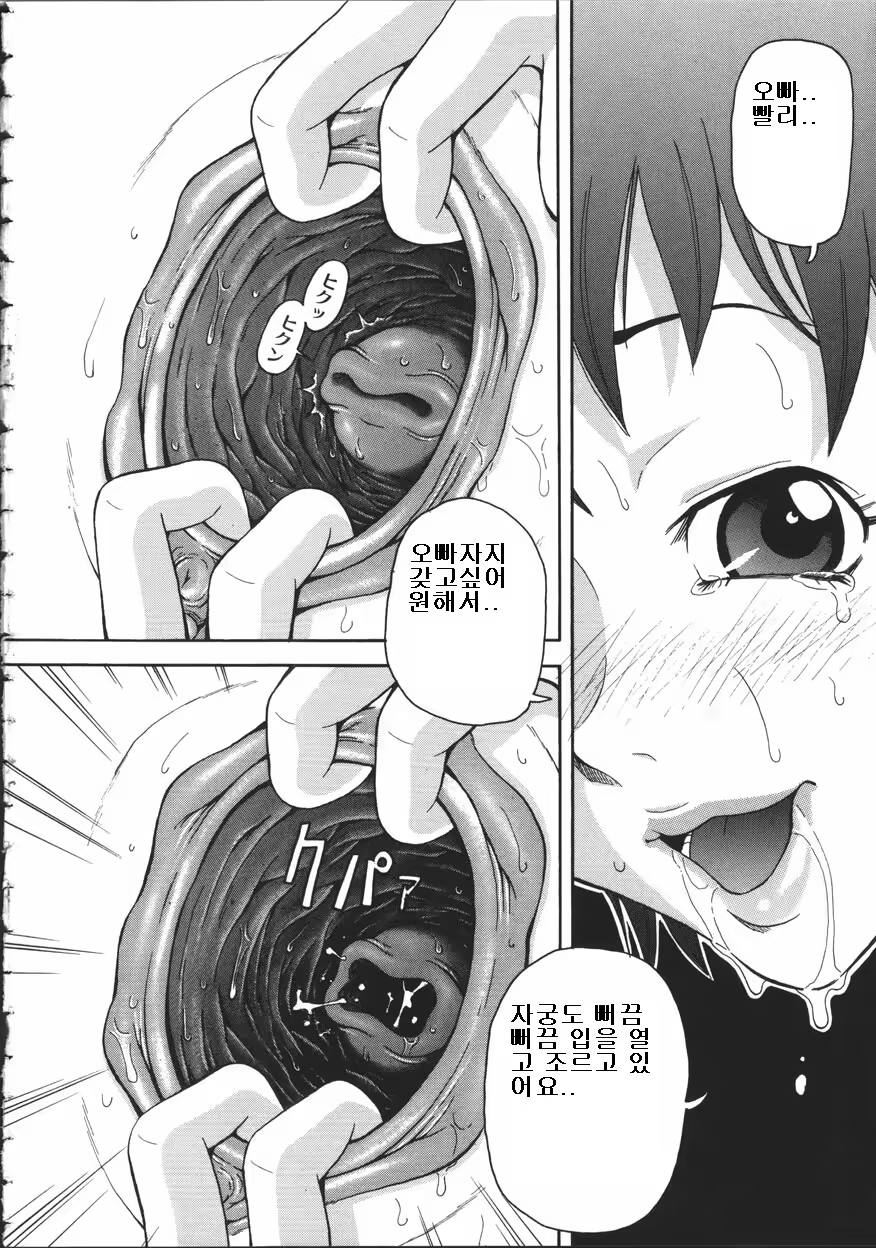 Content 461710 - 54 페이지