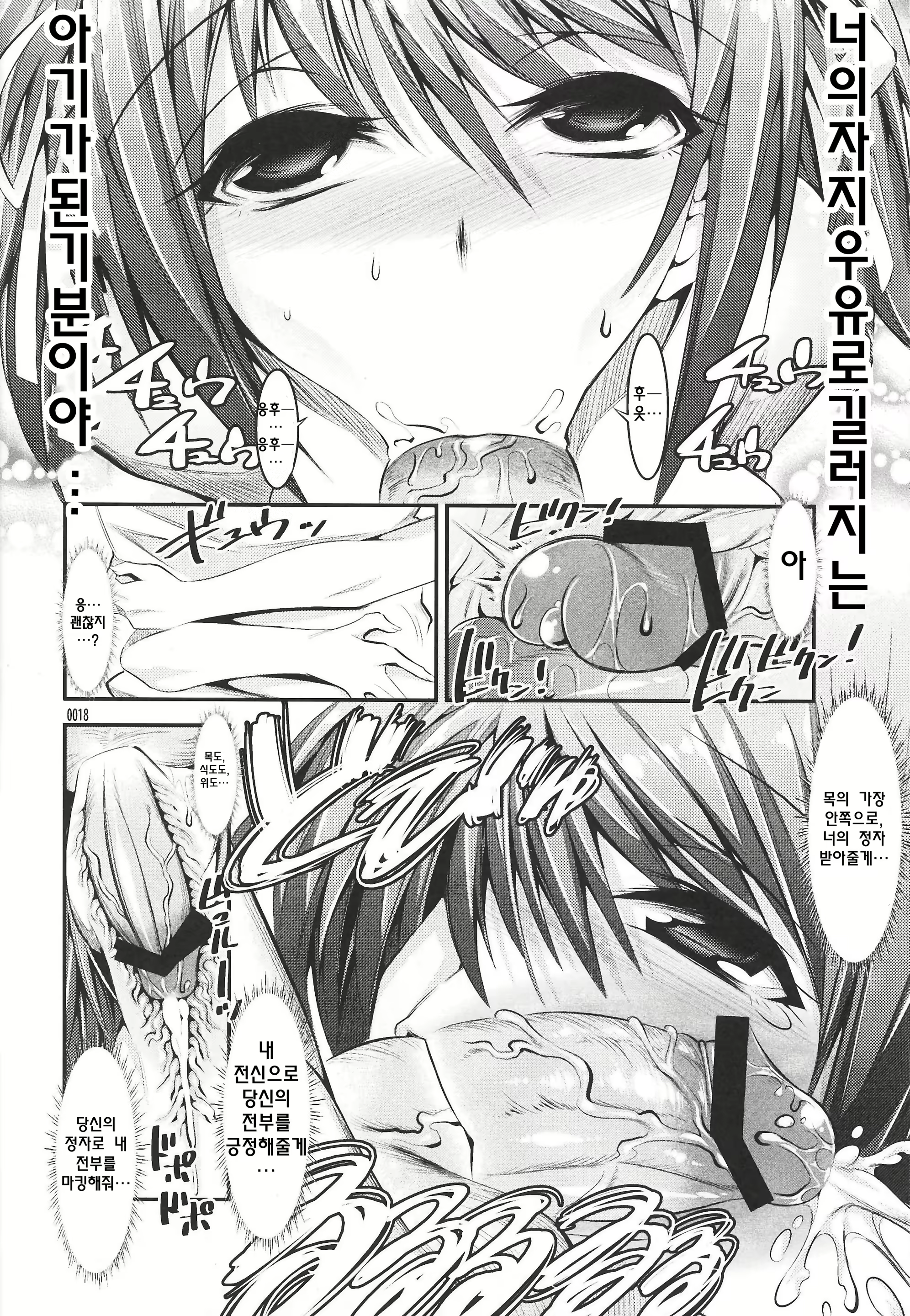 Content 472576 - 17 페이지