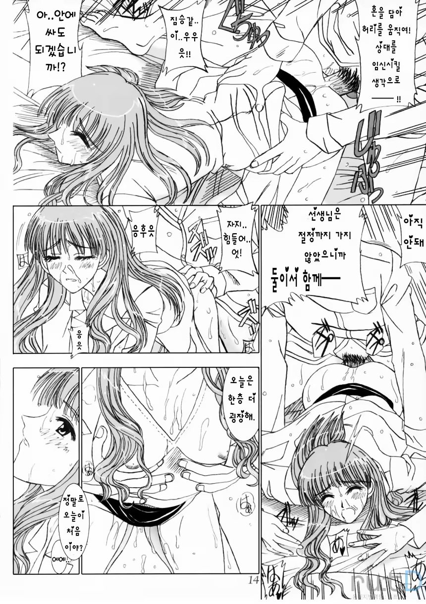 Content 477243 - 13 페이지