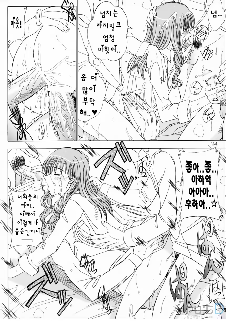 Content 477243 - 33 페이지