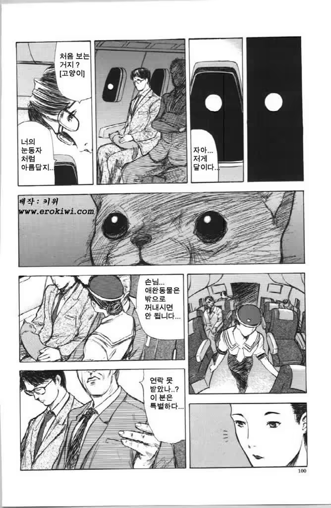 Content 479738 - 99 페이지