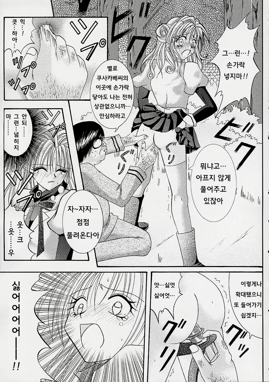 Content 479896 - 12 페이지