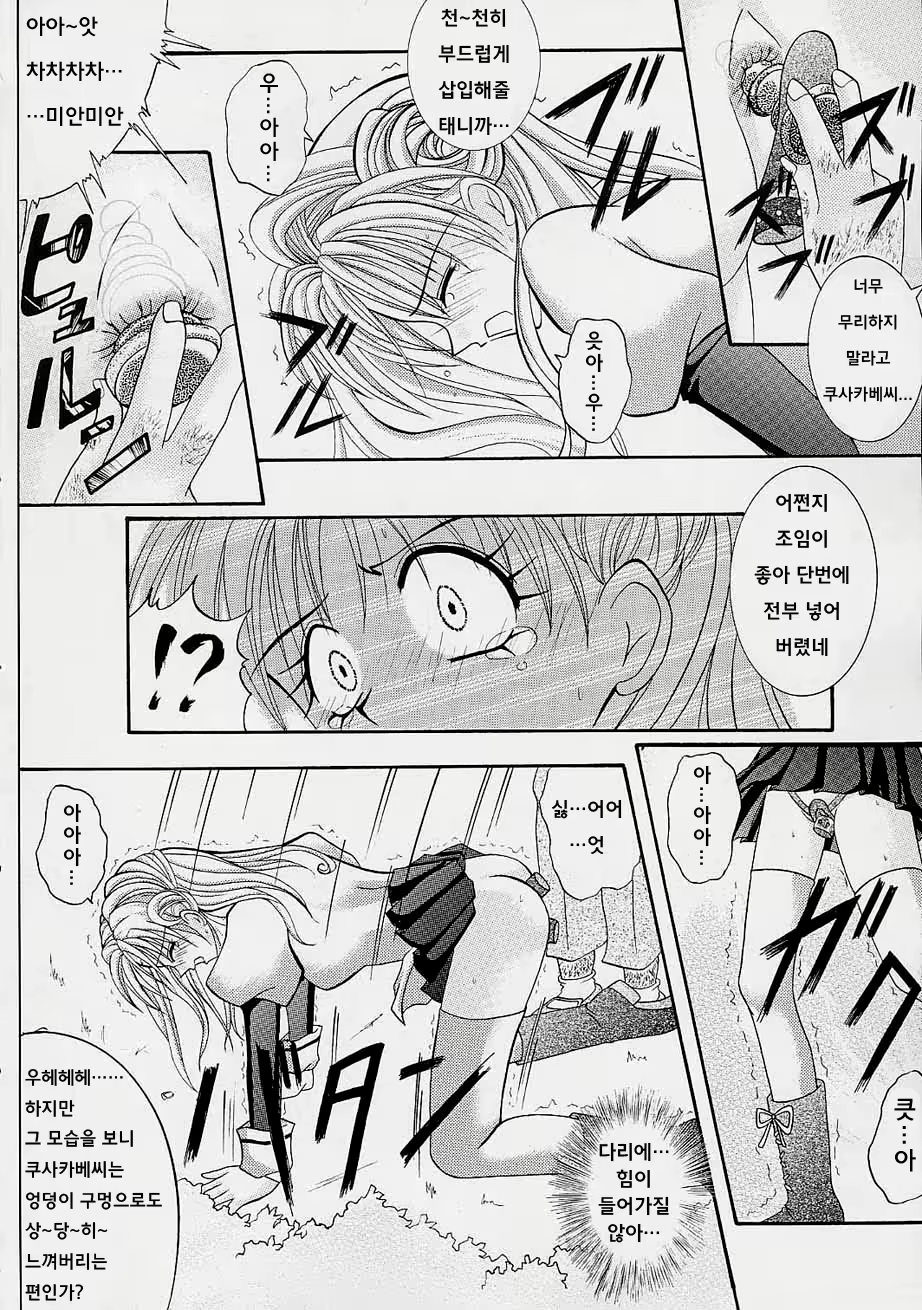 Content 479896 - 13 페이지