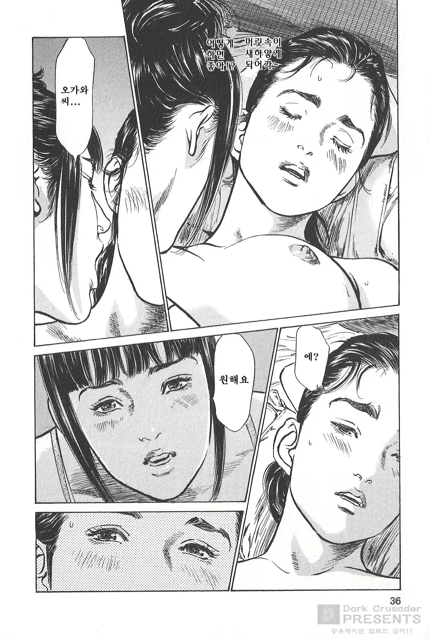 Content 510053 - 31 페이지