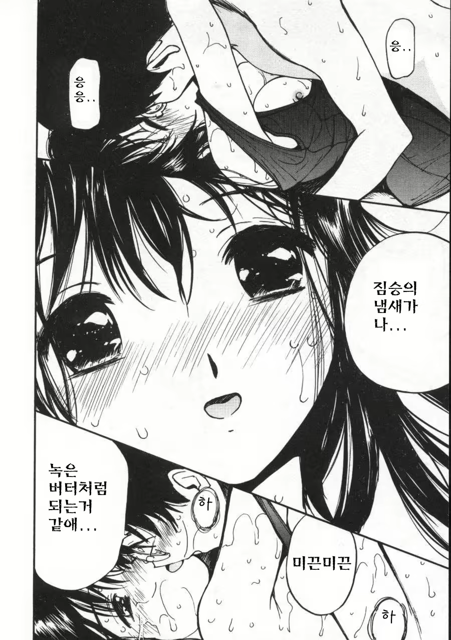 Content 512695 - 64 페이지
