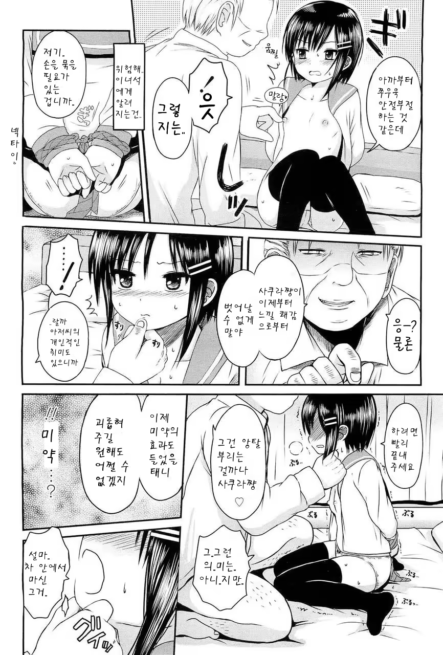 Content 512716 - 12 페이지