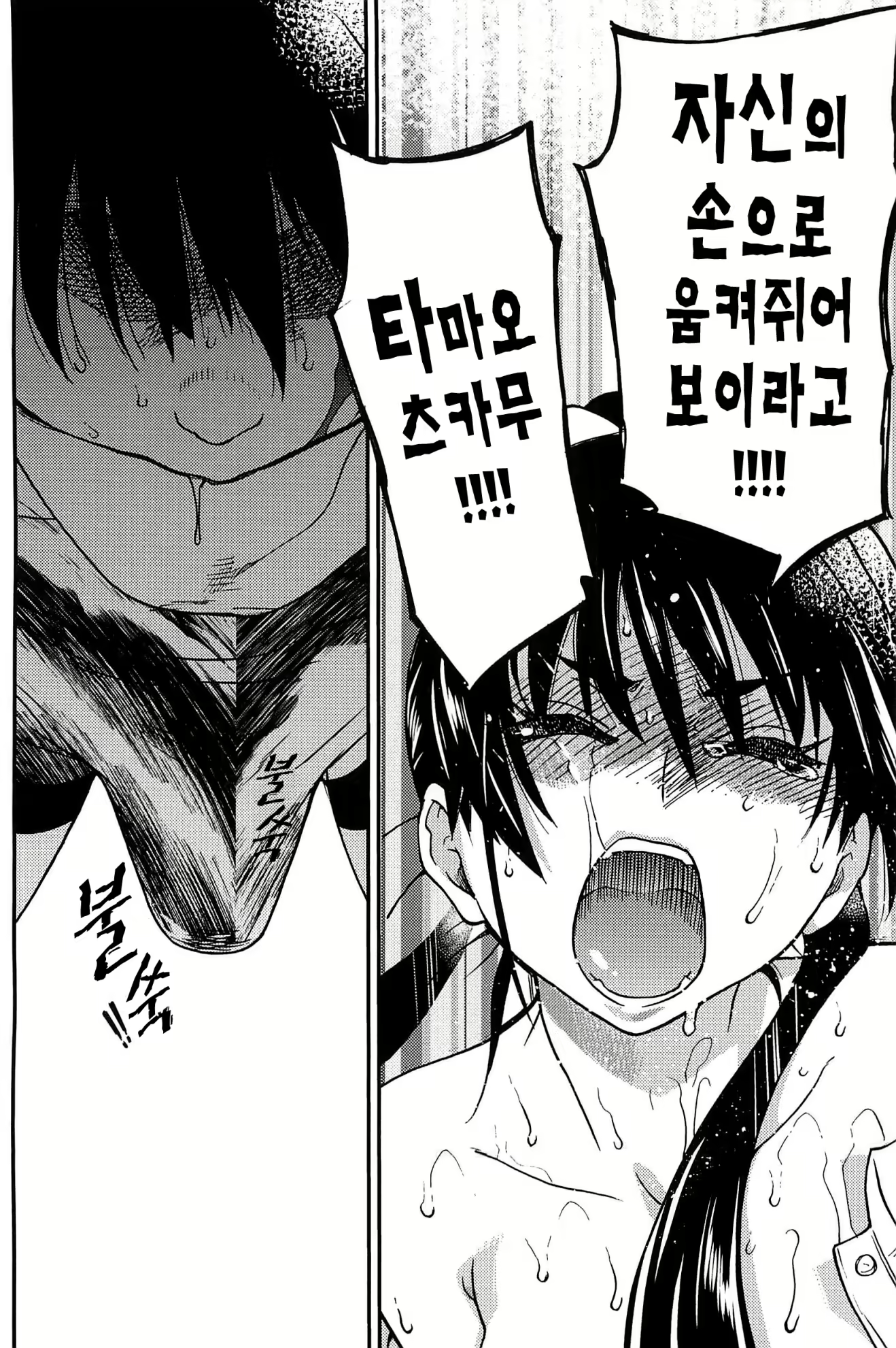 Content 513088 - 244 페이지