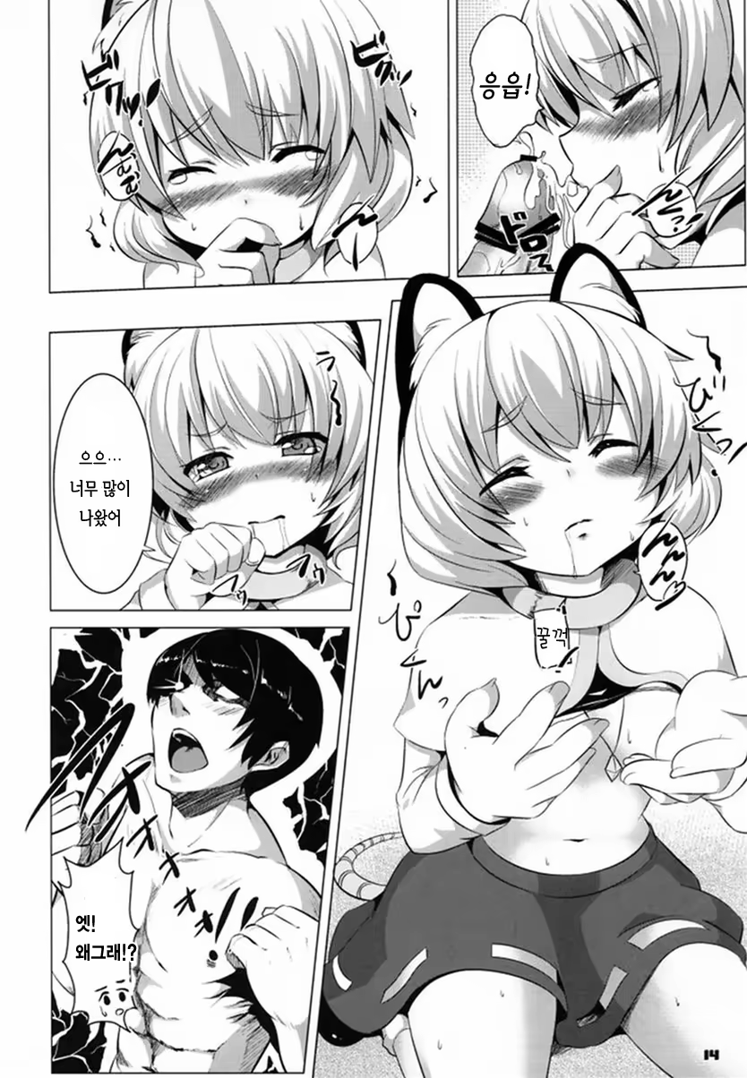 Content 515642 - 14 페이지