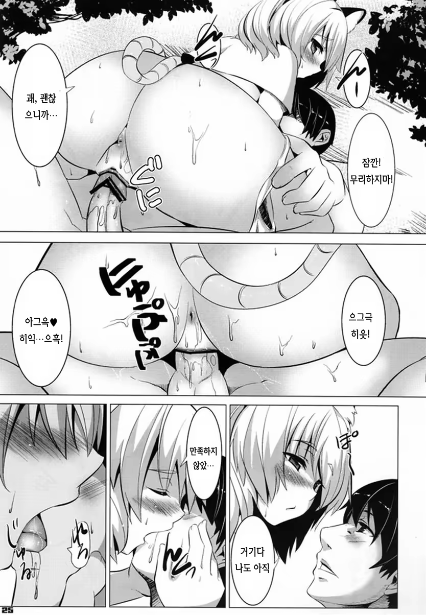 Content 515642 - 25 페이지