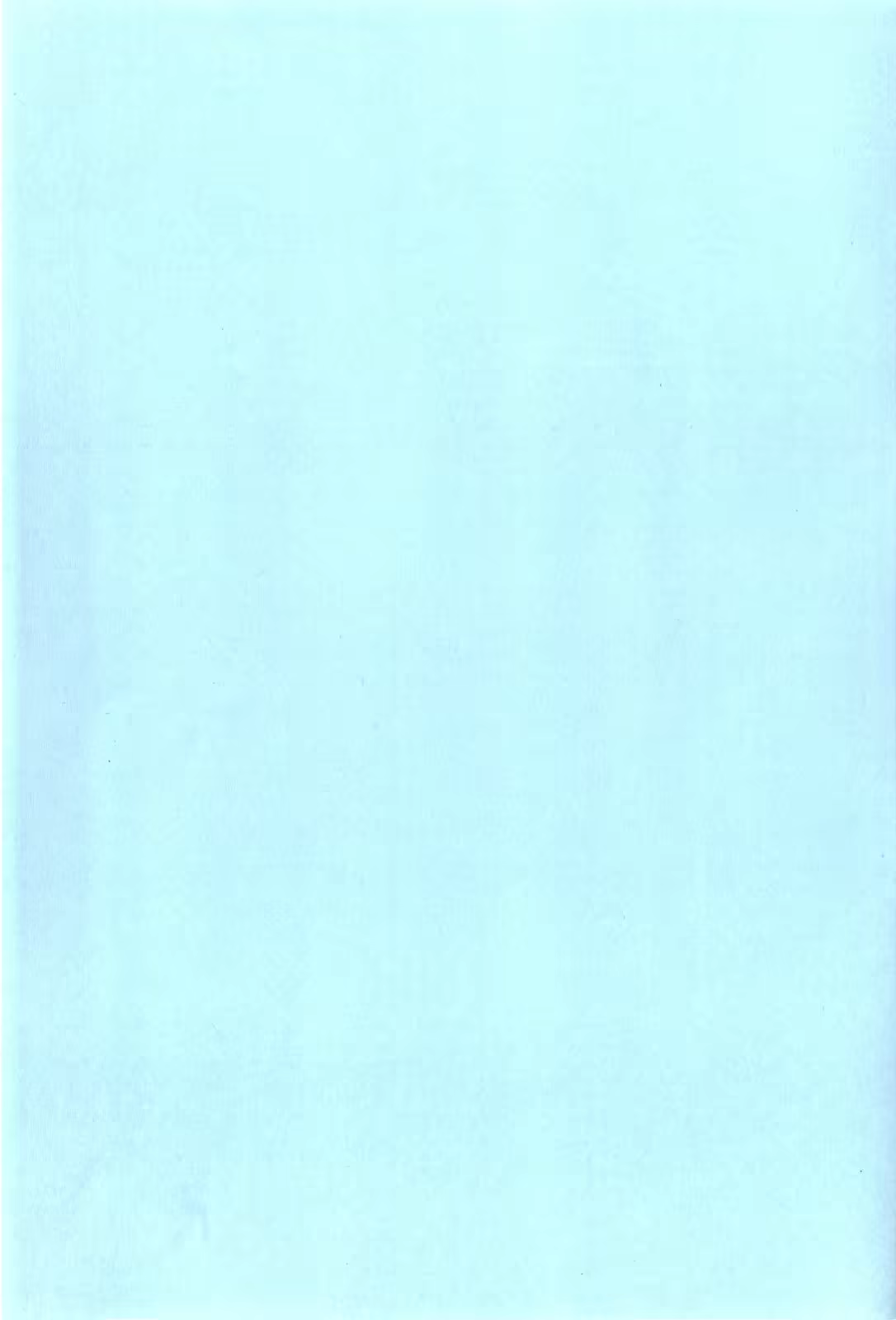 Content 534136 - 6 페이지