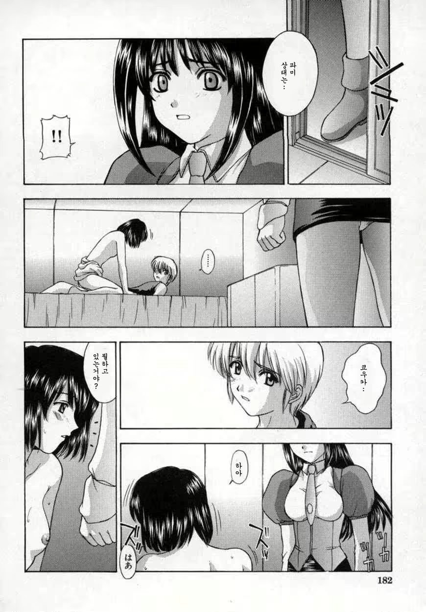 Content 534144 - 187 페이지