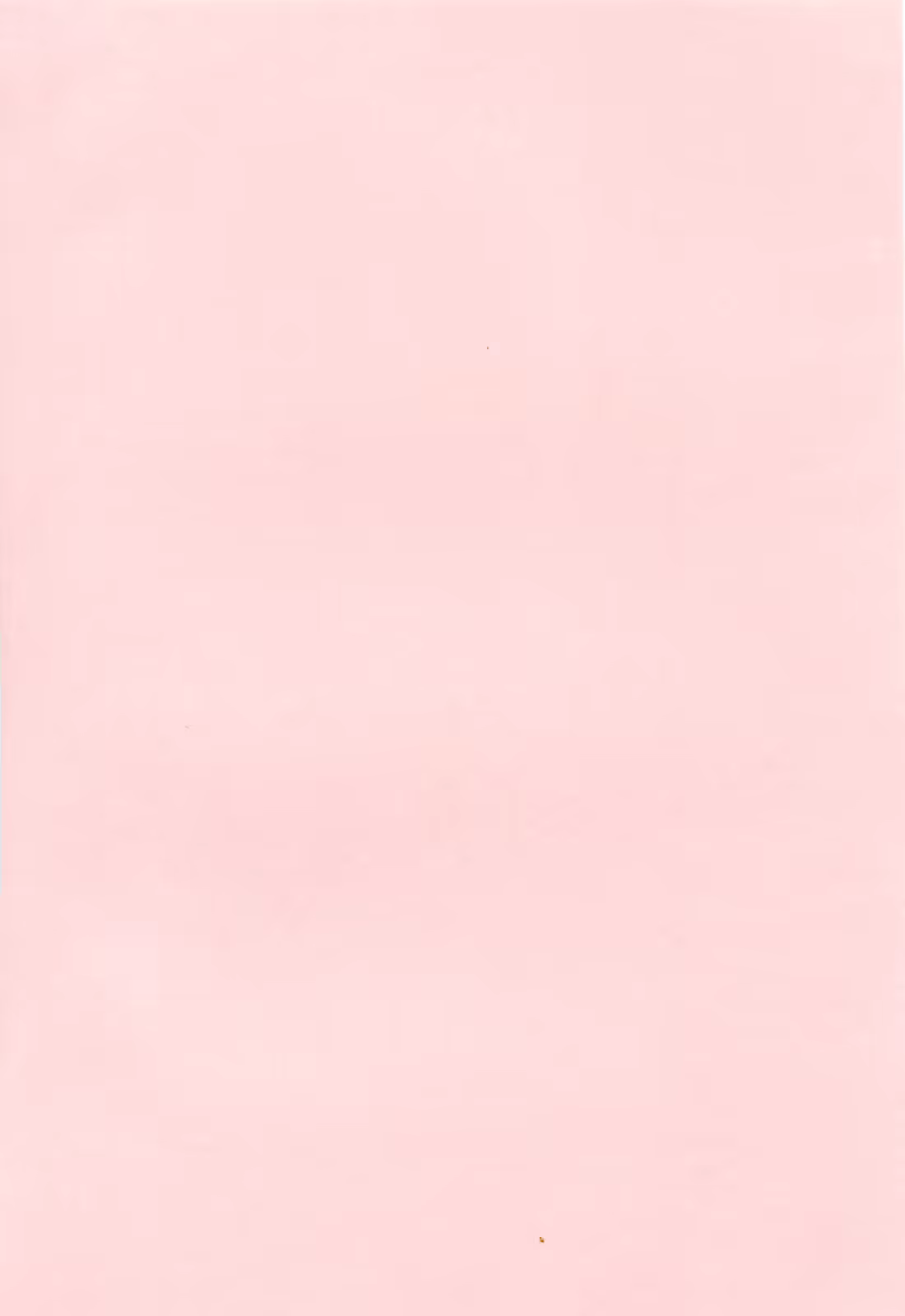 Content 540233 - 148 페이지
