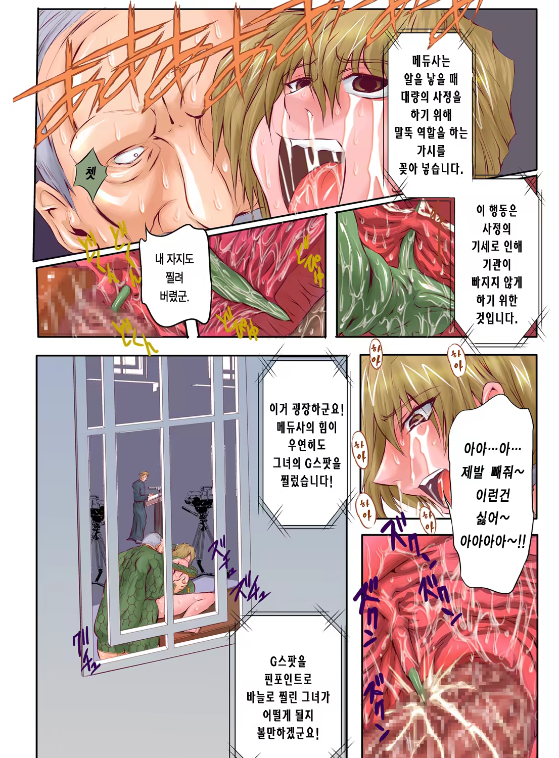 Content 545171 - 22 페이지