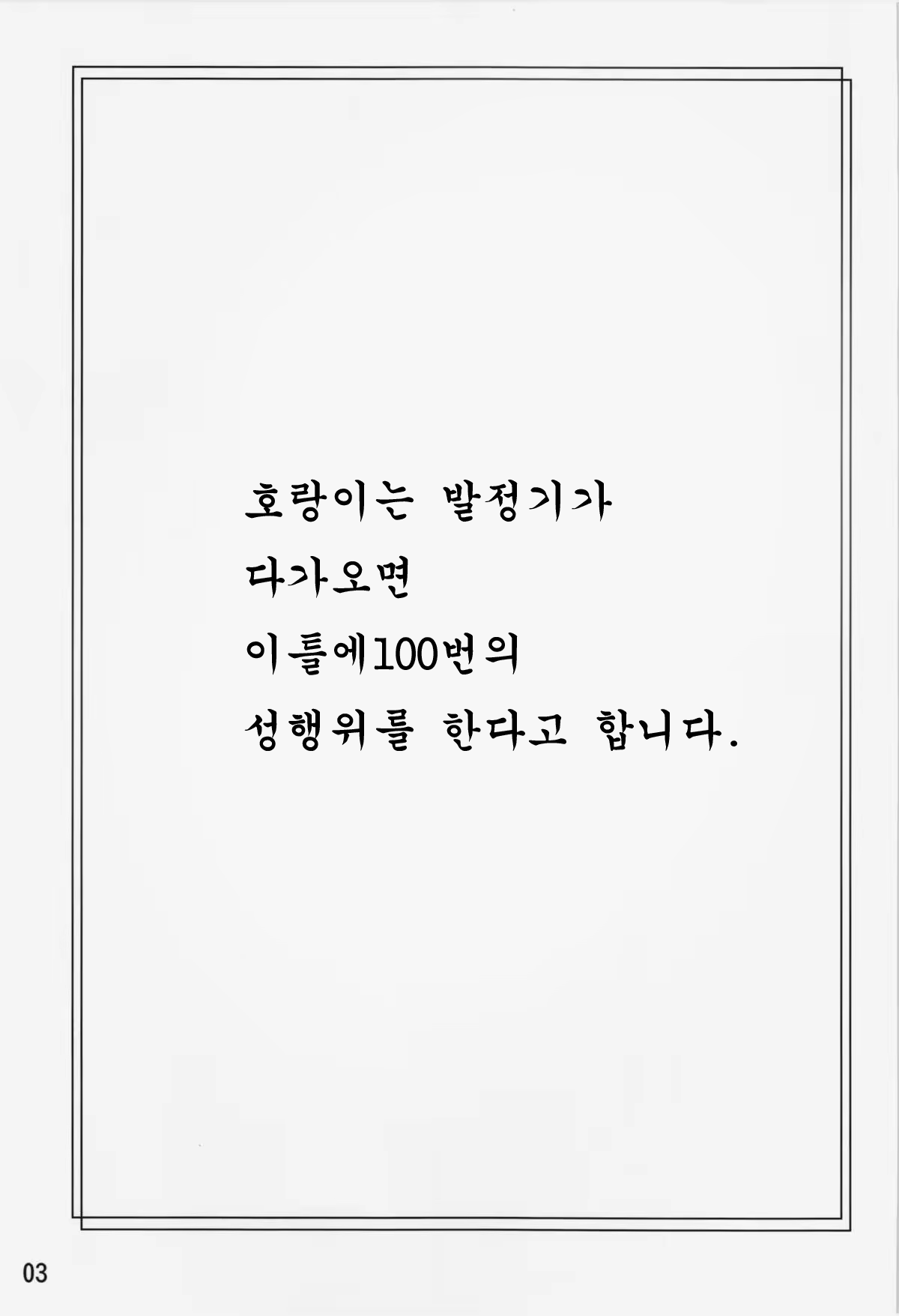 Content 558281 - 3 페이지