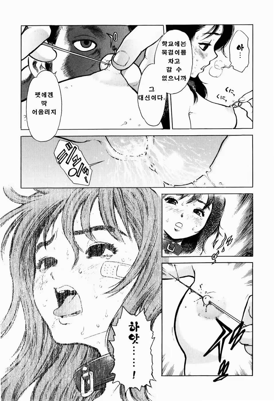 Content 566536 - 63 페이지