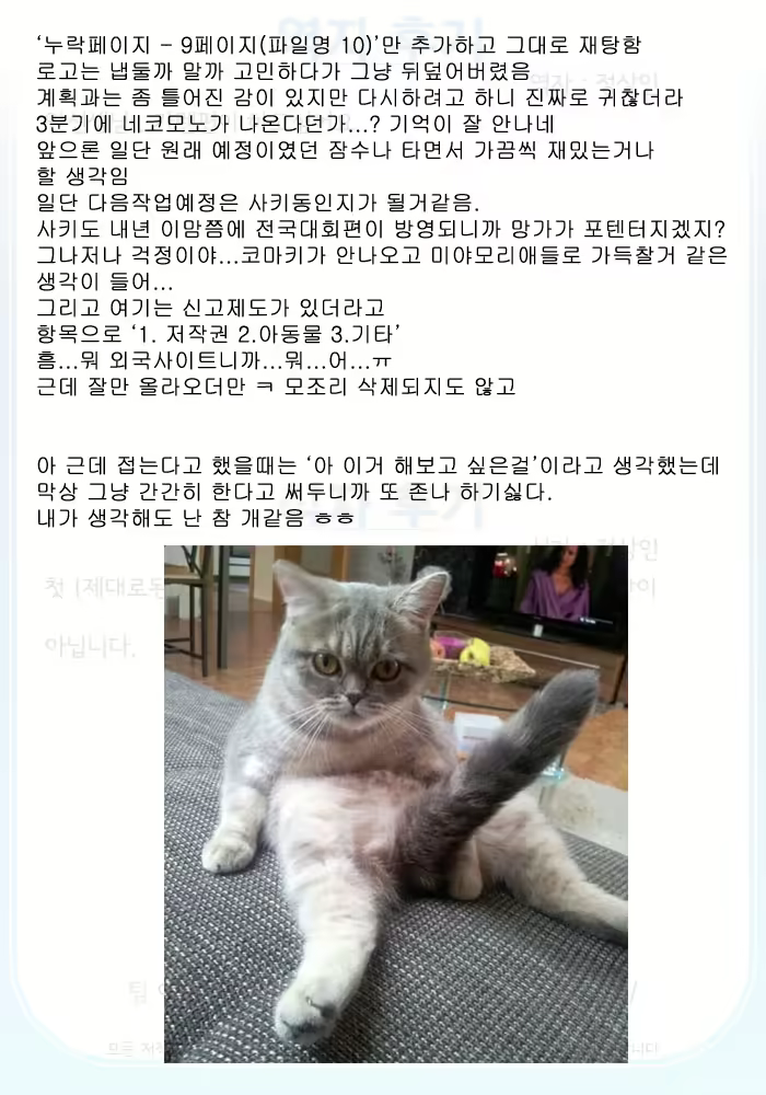 Content 593745 - 20 페이지