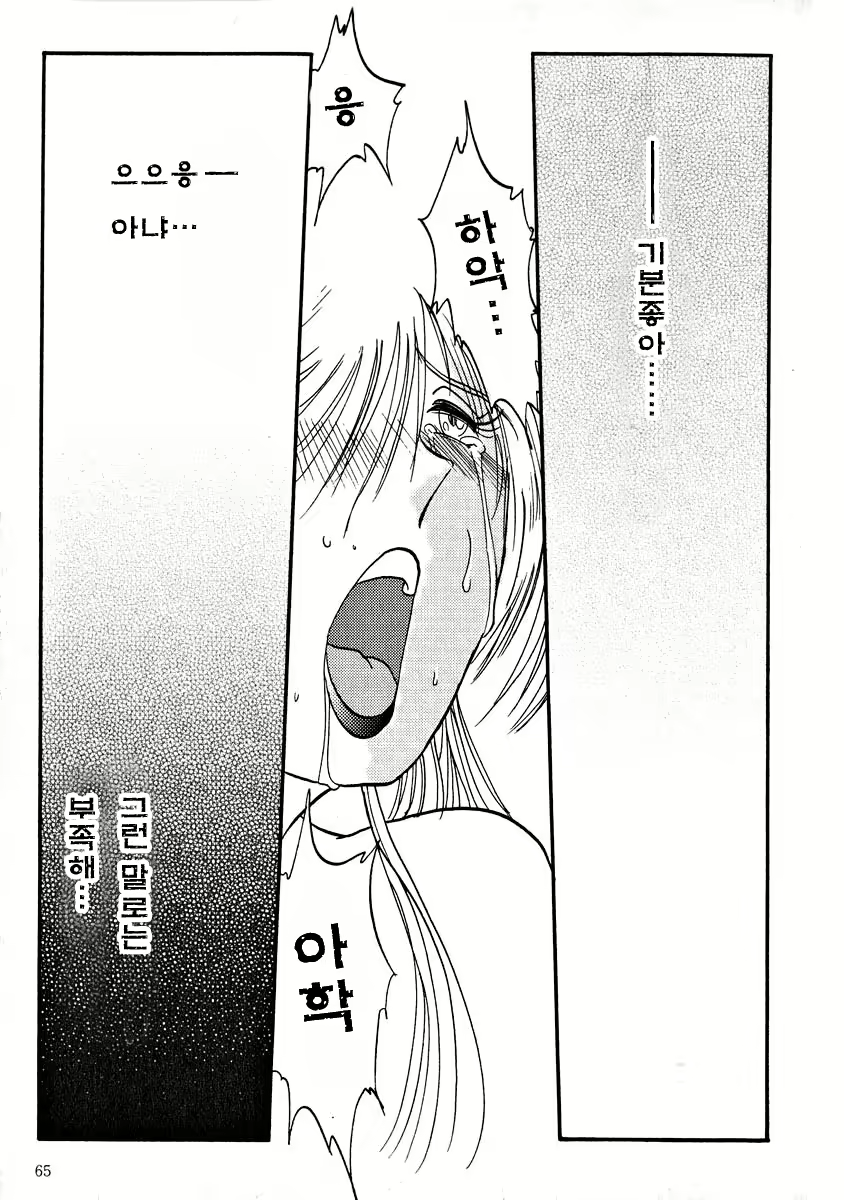 Content 603800 - 66 페이지