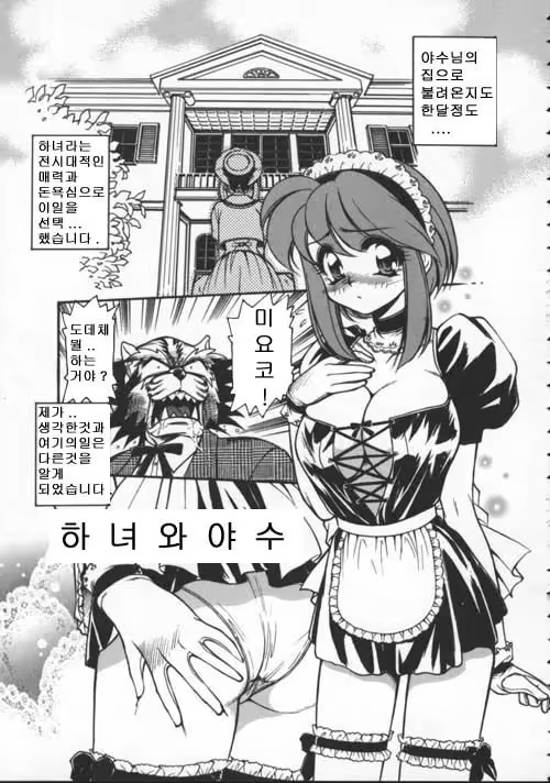 Content 617465 - 5 페이지