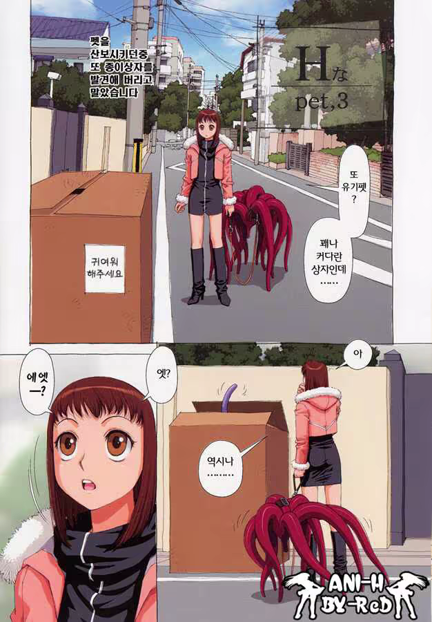 Content 617862 - 86 페이지