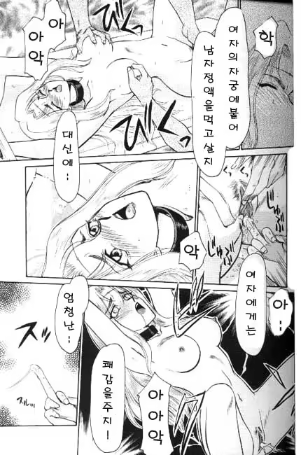 Content 618005 - 24 페이지