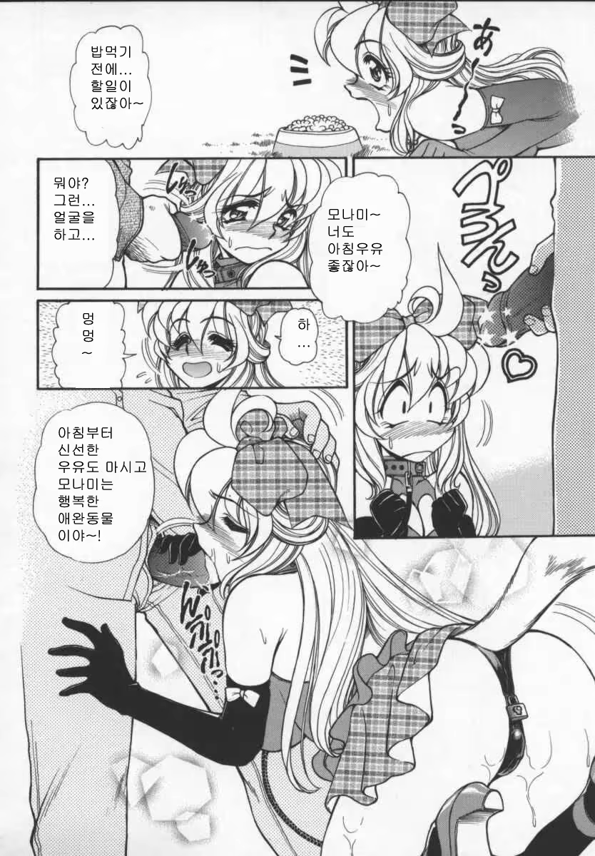 Content 618011 - 36 페이지