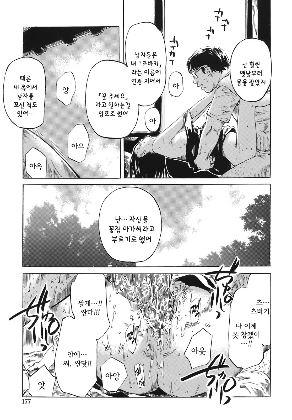Content 618759 - 177 페이지