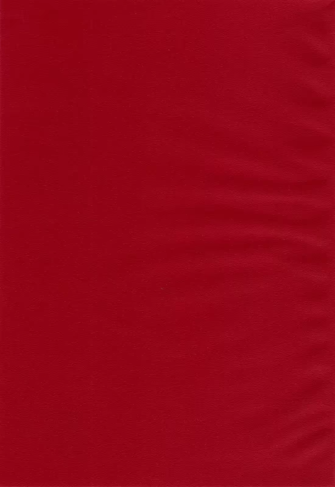 Content 621785 - 2 페이지